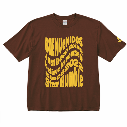 BVビックシルエット半袖Tシャツ ブラウン OLA