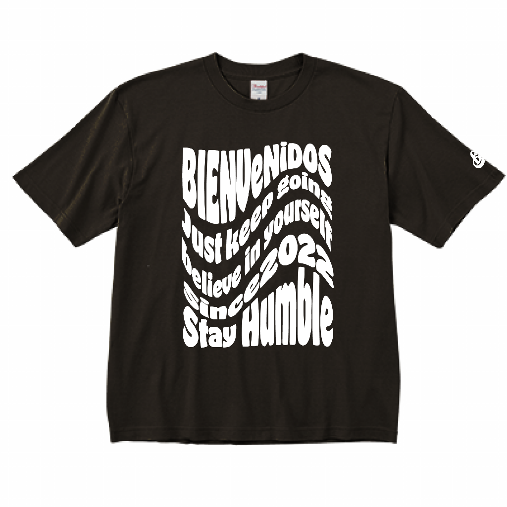 BVビックシルエット半袖Tシャツ ブラック X ホワイト OLA
