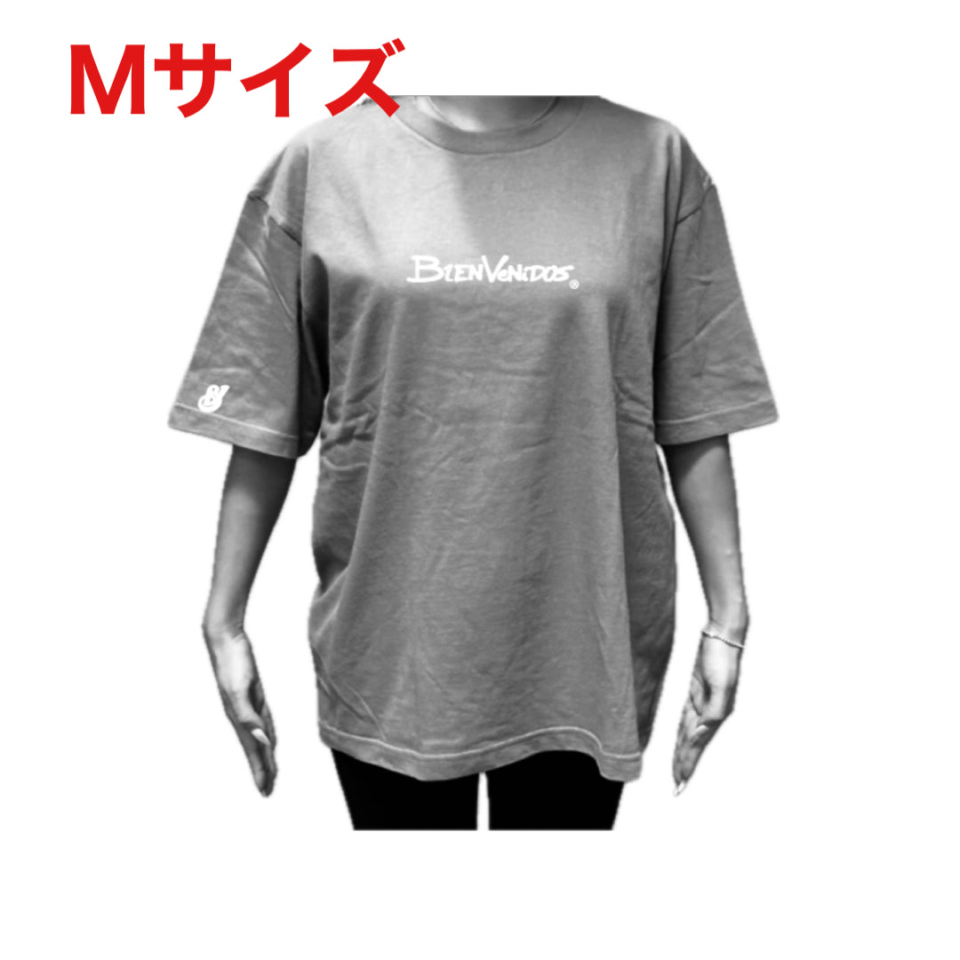 BVビックシルエット半袖Tシャツ ブラウン OLA
