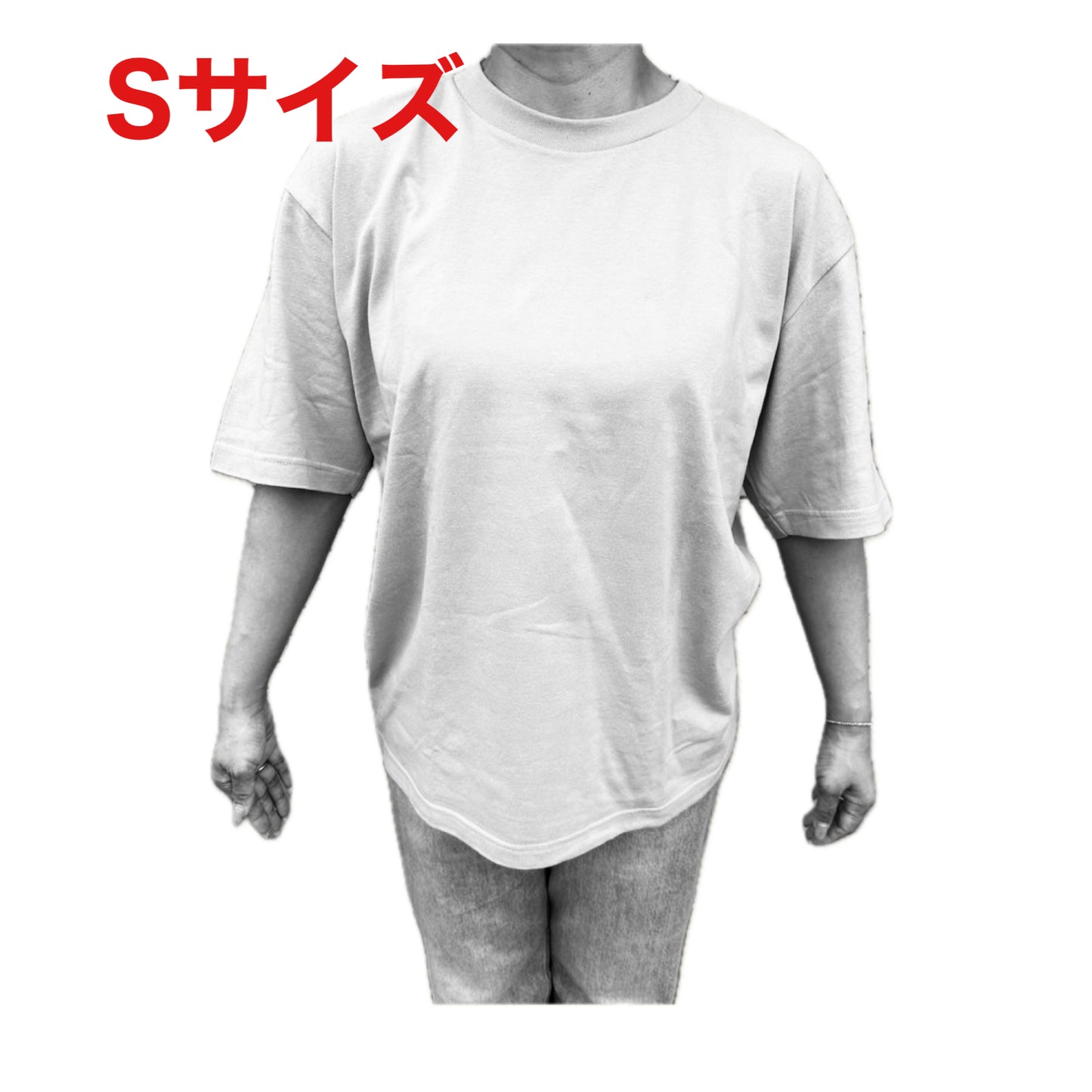 BVビックシルエット半袖Tシャツ ブラウン OLA